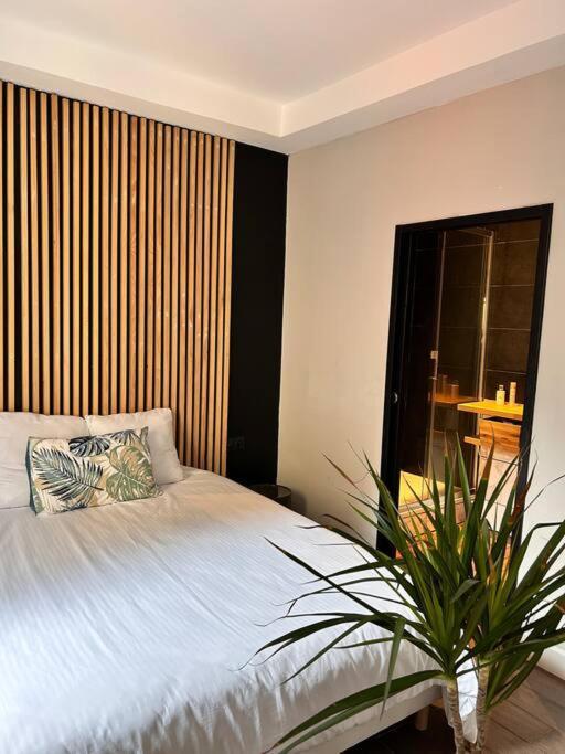 Appartement Cosy Centre Ajaccio アジャクシオ エクステリア 写真